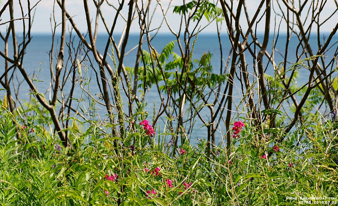 48775CrLeShUsm - Celebrating Andy's 17th birthday with a bike ride along the Waterfront Trail